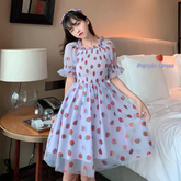 Strawberry Printed Elegant Chiffon Transparent Dress